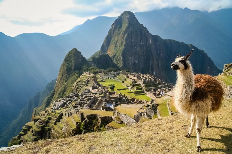 Machu-Picchu